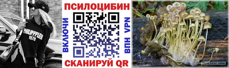 Галлюциногенные грибы Psilocybine cubensis  Дюртюли 